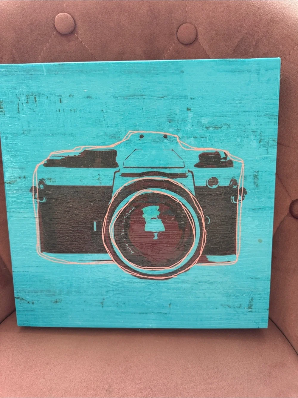 Z Gallerie Turquoise and Black Camera Wall Art